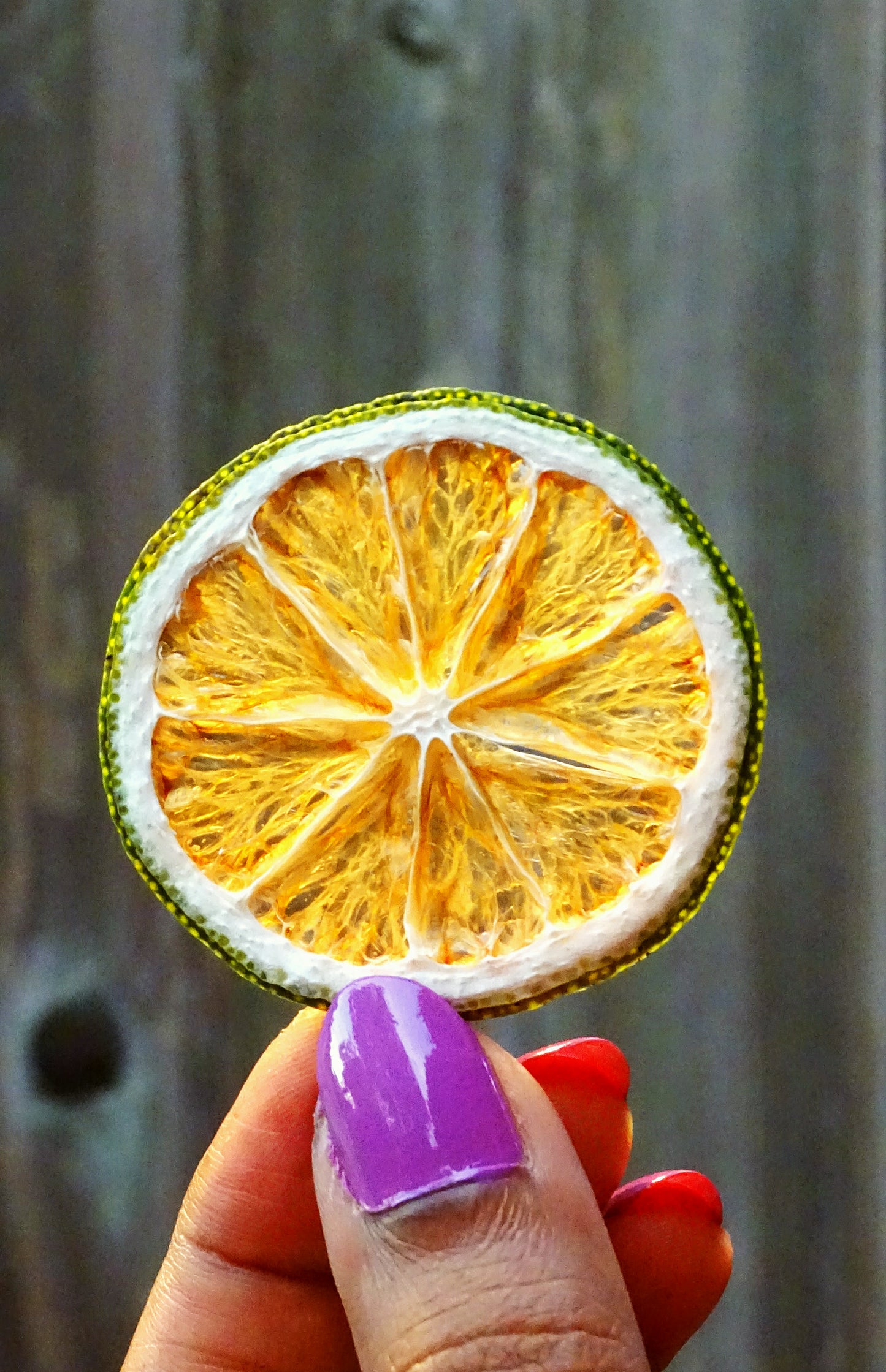 Dehydrated Lime Slices