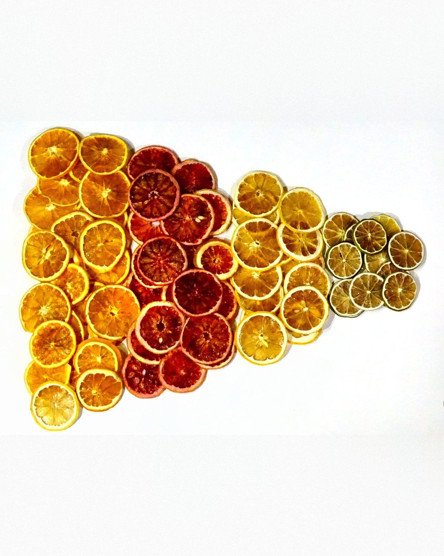 Dry Delicious Assorted Citrus Pack of dehydrated orange, lemon, lime and blood orange wheels