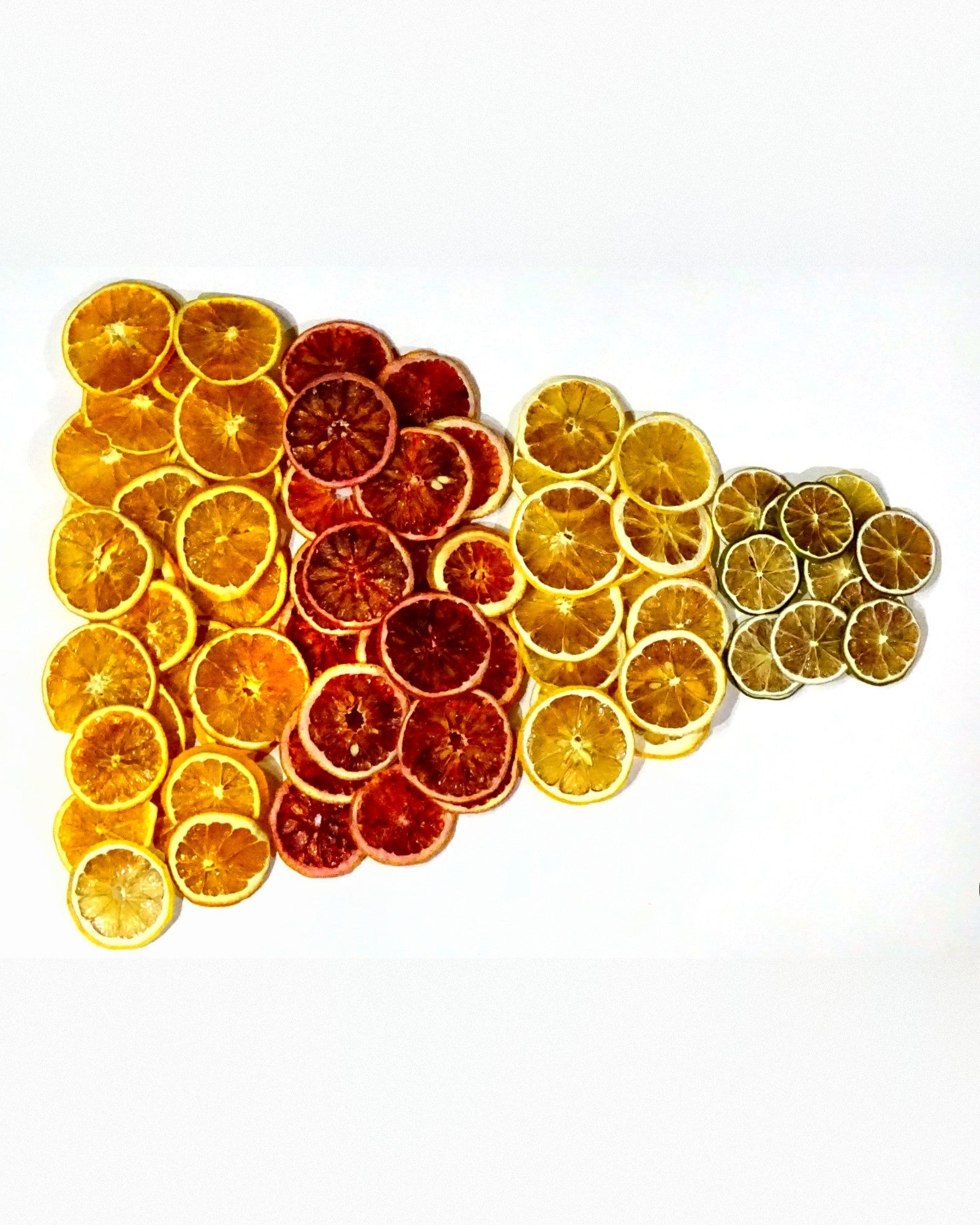 Dry Delicious Assorted Citrus Pack of dehydrated orange, lemon, lime and blood orange wheels
