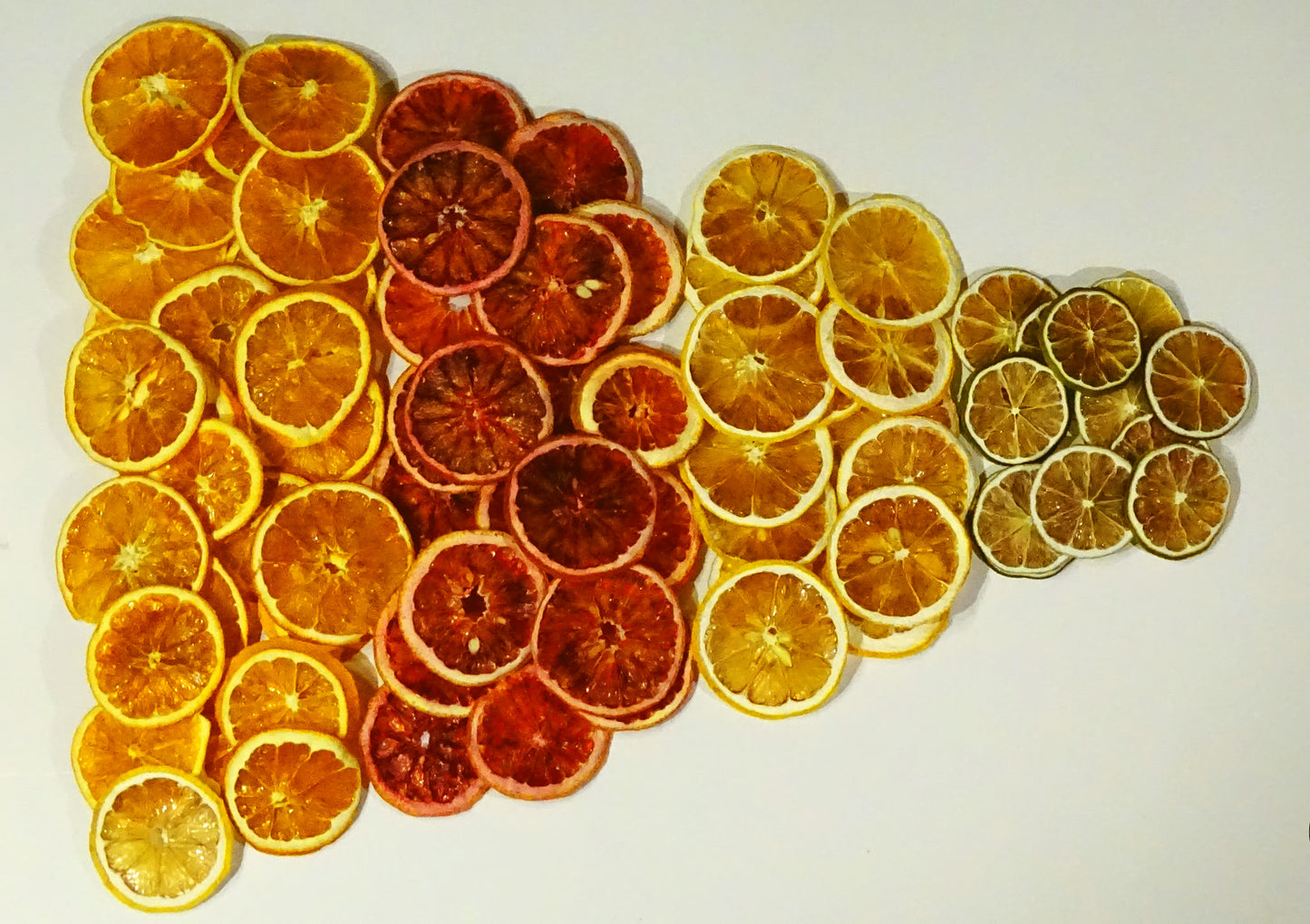 Citrus Variety Box - Mixed Dehydrated Citrus Slices